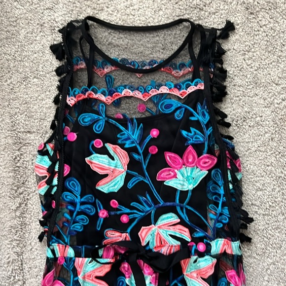 RARE Anthropologie Eva Franco Embroidered Dress - Size 6 - Picture 3 of 6